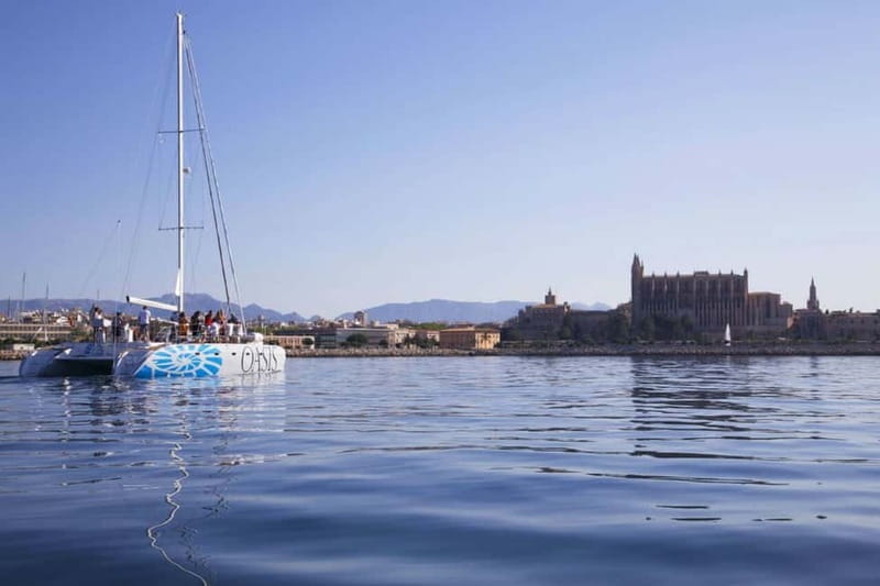 Palma de Mallorca: Deluxe Catamaran Sailing Tour with Meal - Who Would Love This Experience