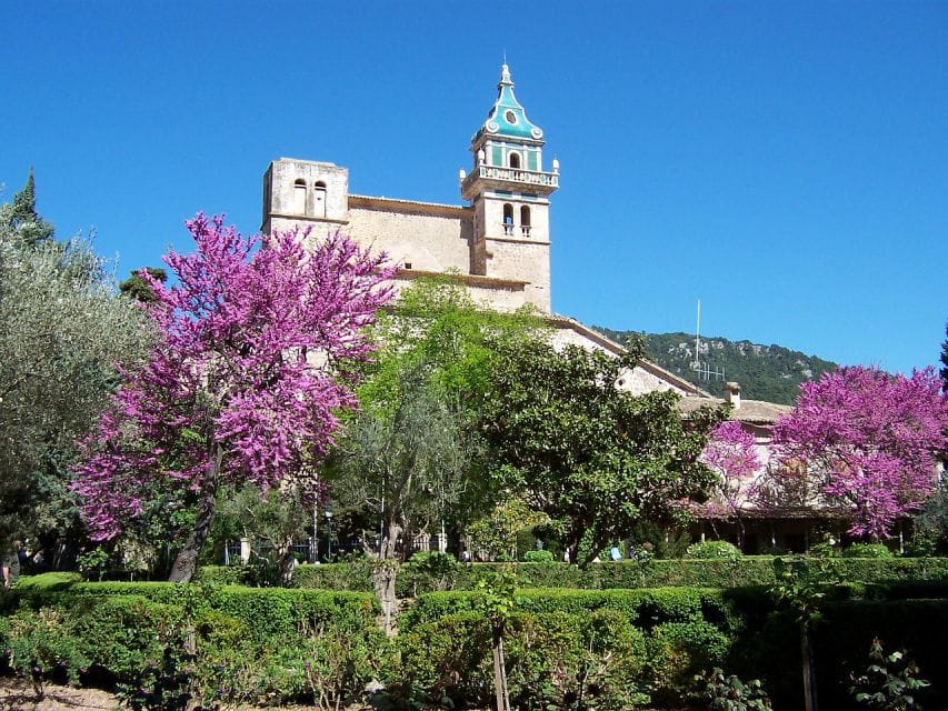Palma De Mallorca: Free Time in Palma and Valldemossa - Customer Ratings and Feedback