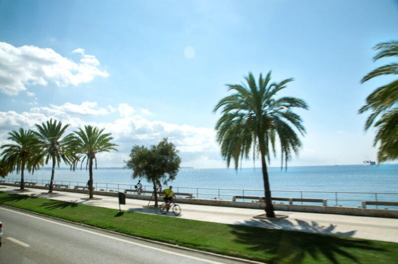 Palma de Mallorca: Full-Day Tour with Departure Options - Final Thoughts: Who Will Get the Most Out of This Experience?