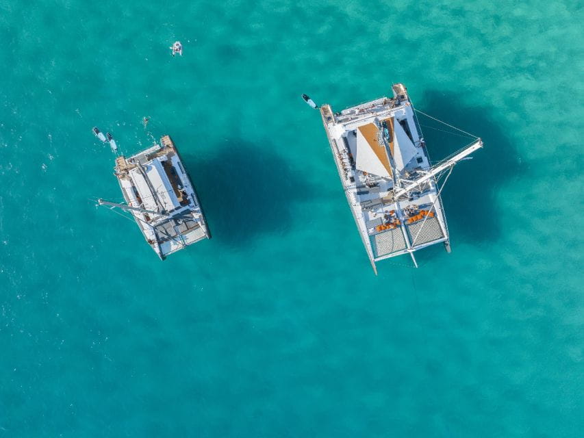 Palma De Mallorca: Half-Day Catamaran Tour With Buffet Meal - Key Points