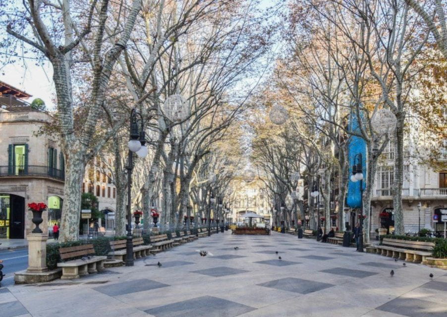 Palma De Mallorca: Old Town Guided Tour & Cathedral Visit - Languages Available