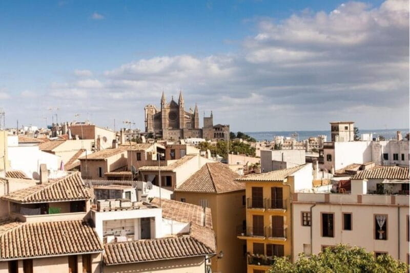 Palma de Mallorca: Private Custom Tour with a Local Guide - Key Points / Takeaways
