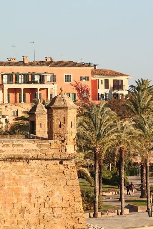 Palma de Mallorca Private Guided Walking Tour - FAQ