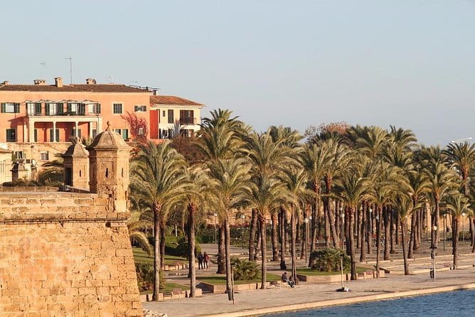 Palma de Mallorca Private Walking Tour with tour guide - Why This Tour Might Be Perfect for You