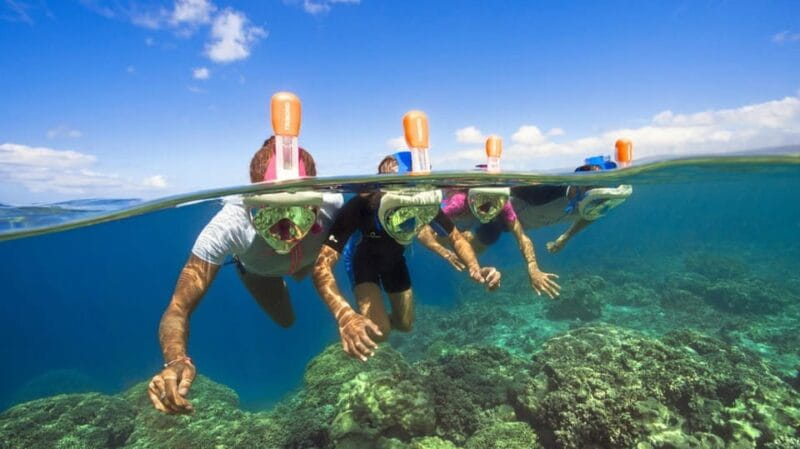 Palma de Mallorca: Private Yacht Trip with Drinks - Setting Sail from Port Olimpic Calanova