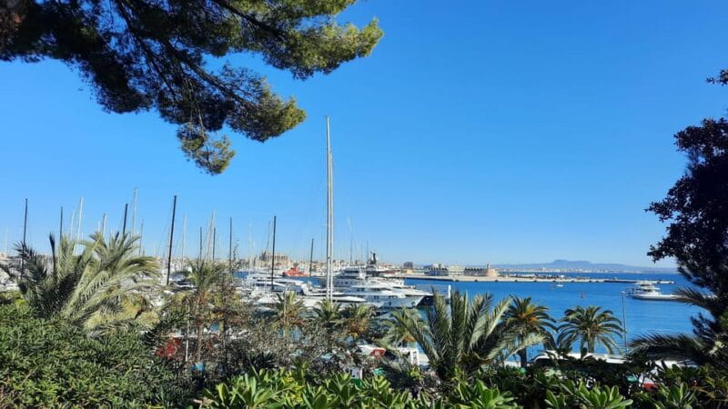 PALMA DE MALLORCA & SOLLER MIT BAHN & STADTFÜHRUNG ab Palma - Who Will Love This Tour?