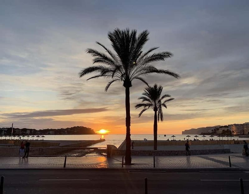 Palma: Electric Mountain Adventure: Ride Higher, Go Farther! - Key Points / Takeaways