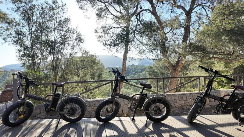 Palma: Electric Mountain Adventure: Ride Higher, Go Farther! - Starting Point at Plaça de la Drassana