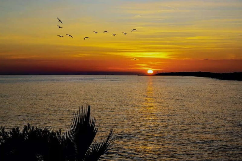 Palma: Electric Mountain Adventure: Ride Higher, Go Farther! - Bellver Castle and Surroundings (45 minutes)