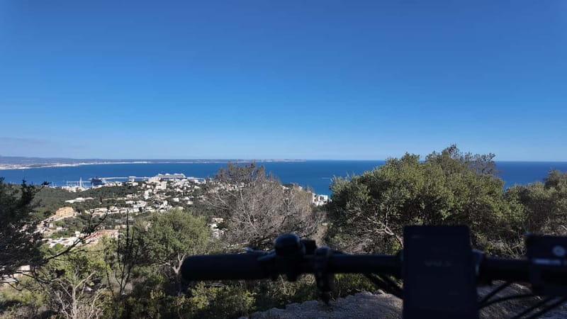 Palma: Electric Mountain Adventure: Ride Higher, Go Farther! - Who This Tour Is Perfect For