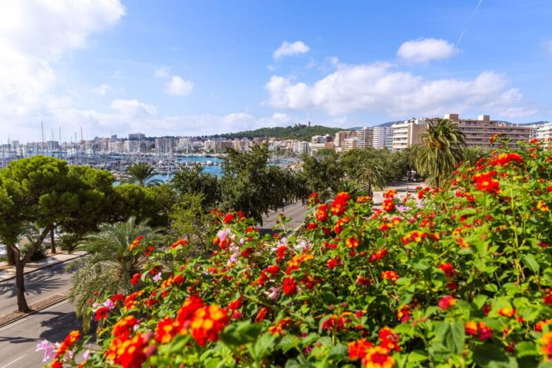 Palma: Express Walk with a Local in 60 minutes - Key Points / Takeaways