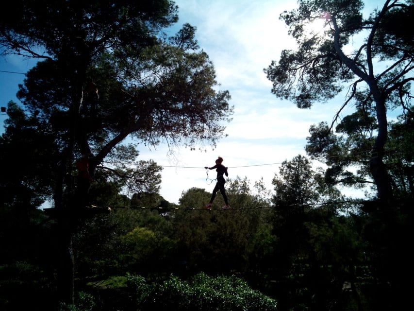 Palma: Family or Sports Course Adventure at Forestal Park - Family Course Features