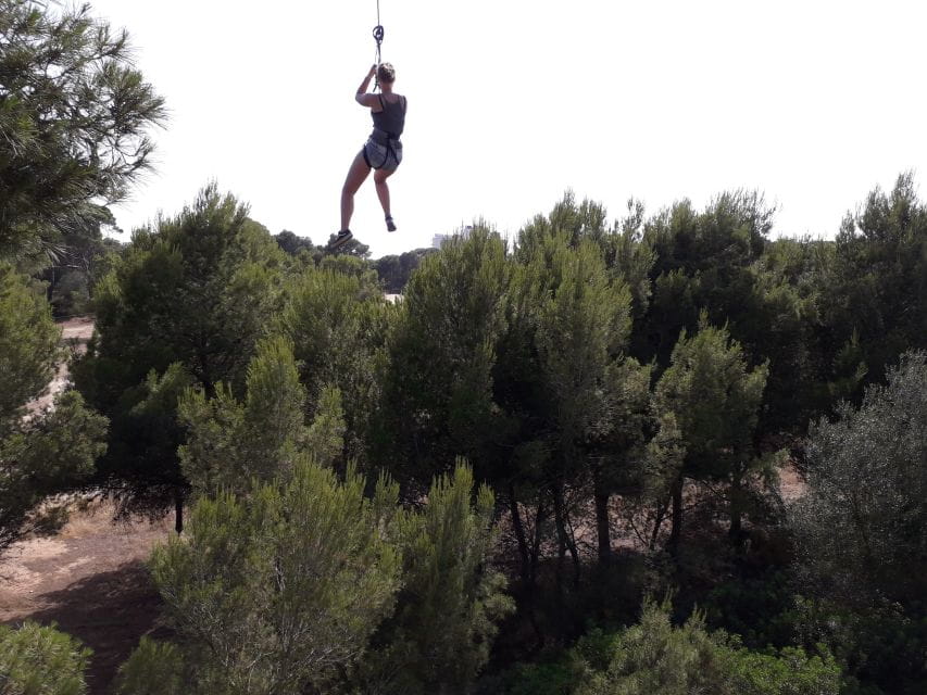 Palma: Family or Sports Course Adventure at Forestal Park - Activities and Attractions