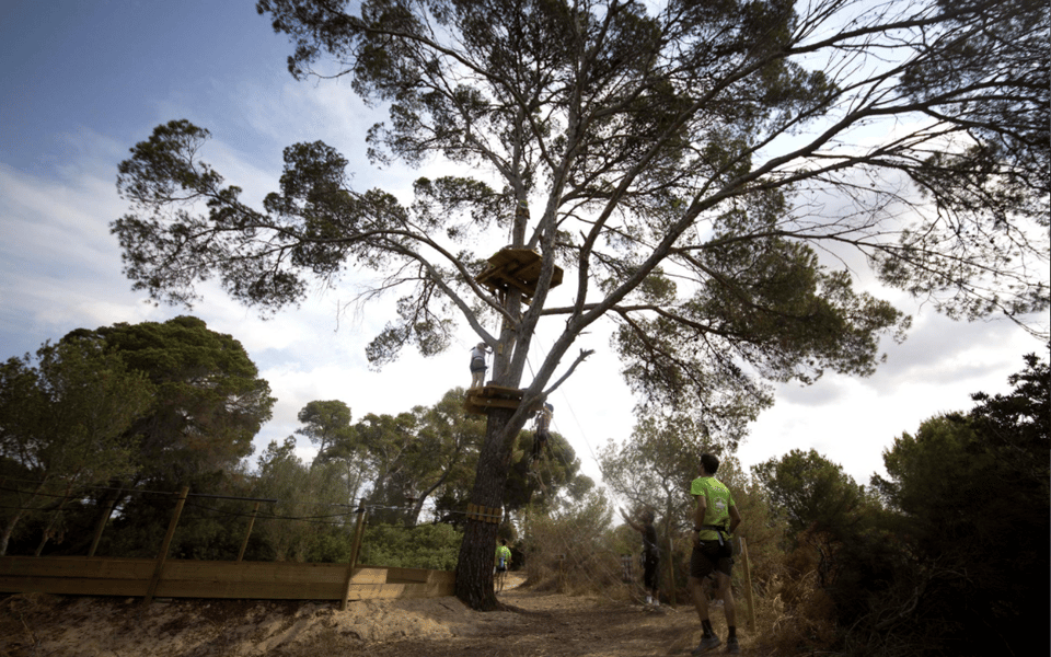 Palma: Family or Sports Course Adventure at Forestal Park - Things To Know