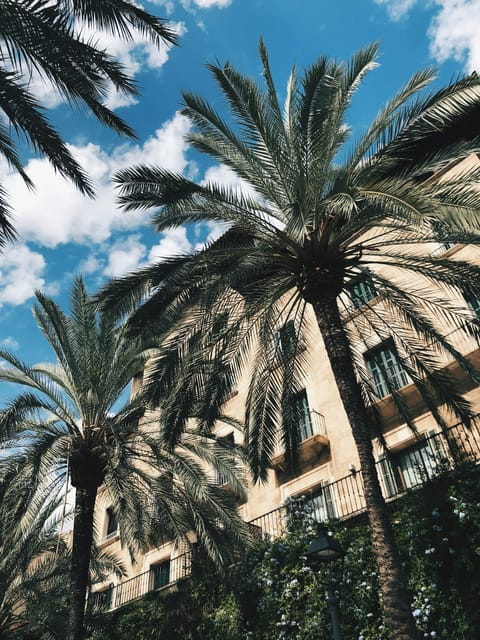 Palma: History & Beauty Eco-Friendly E-Scooter Tour - Experience and Features