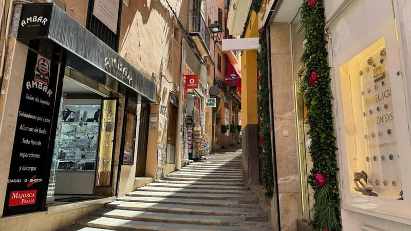 Palma in person and away from the crowds - Discover Palma’s Hidden Charms with a Personal Guided Tour