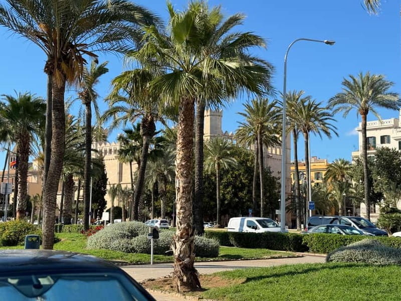 Palma in person and away from the crowds - Price and Logistics: Is It Worth It?