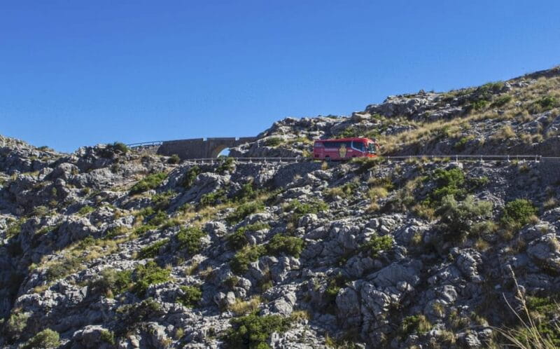 Palma: Mallorca Island Tour Via Boat, Train, and Bus - Key Points / Takeaways