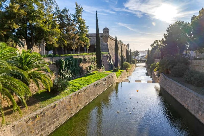Palma: Old Town Guided Tour with Cathedral Skip-the-Line - Discovering Palma’s Old Town: A Practical and Engaging Walk