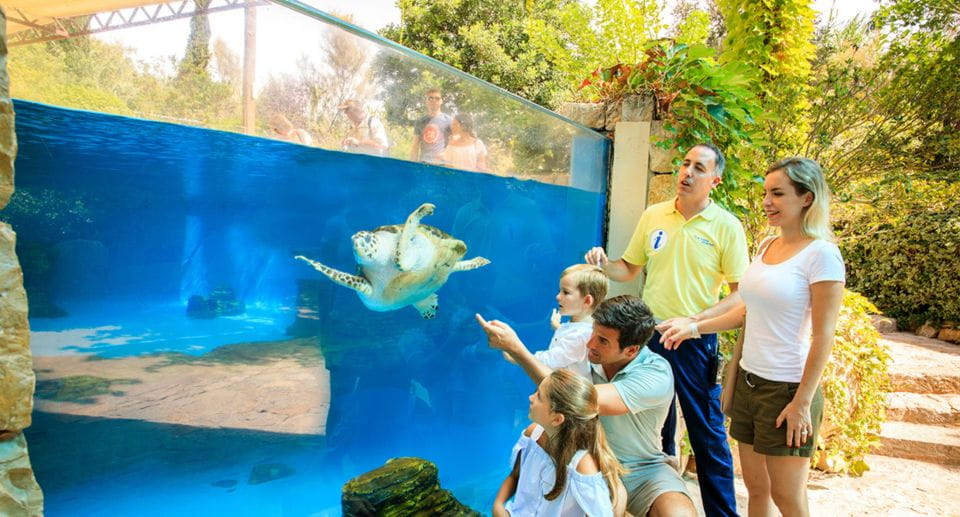 Palma: Palma Aquarium Ticket With Transfer Service - Booking Process and Payment Options