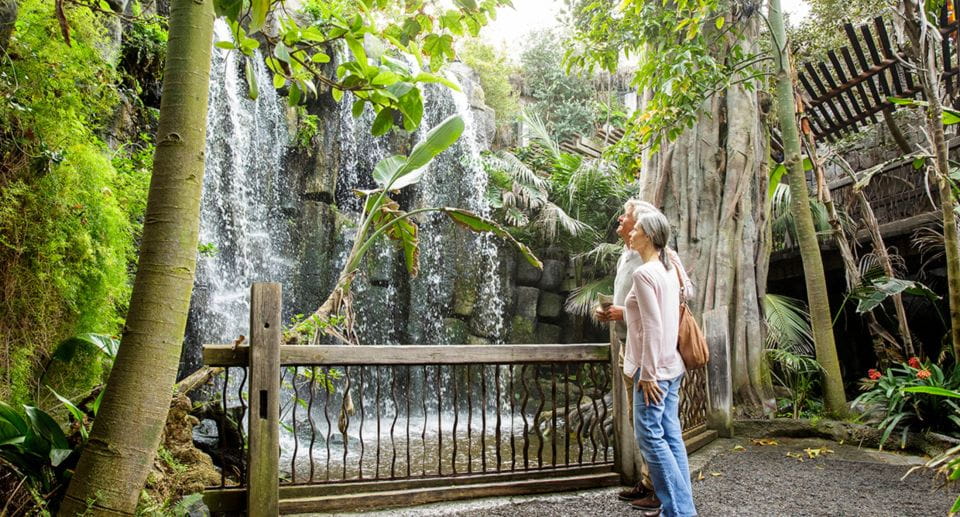 Palma: Palma Aquarium Ticket With Transfer Service - Things To Know