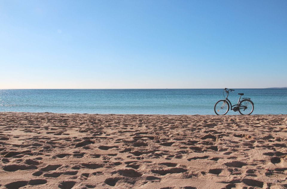 Palma Shore Excursion Bike Tour (Transfer Included) - Things To Know