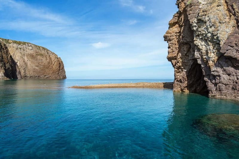 Palmarola: Linea isola di Palmarola - Price and Value: What You’re Getting