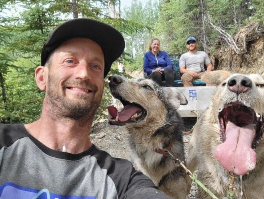 Palmer: Dogs and Glaciers Sledding and Helicopter Tour - Winter Ice Cave Exploration