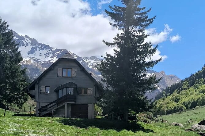 Pamplona de Bocado en Bocado: Join Our Pintxo Tour! - A Deep Dive into the Pintxo Tour Experience