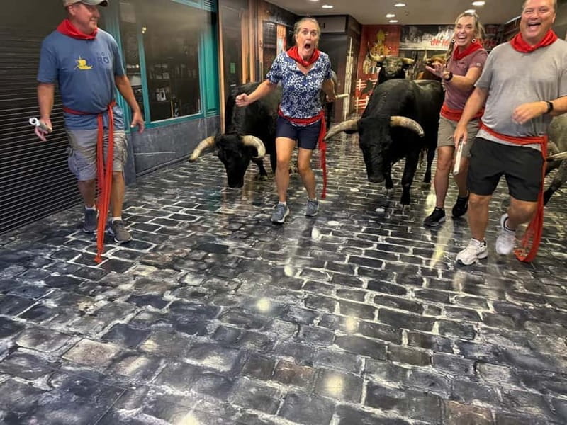 Pamplona: Walking Tour and Photo Session with Bulls - Key Points / Takeaways