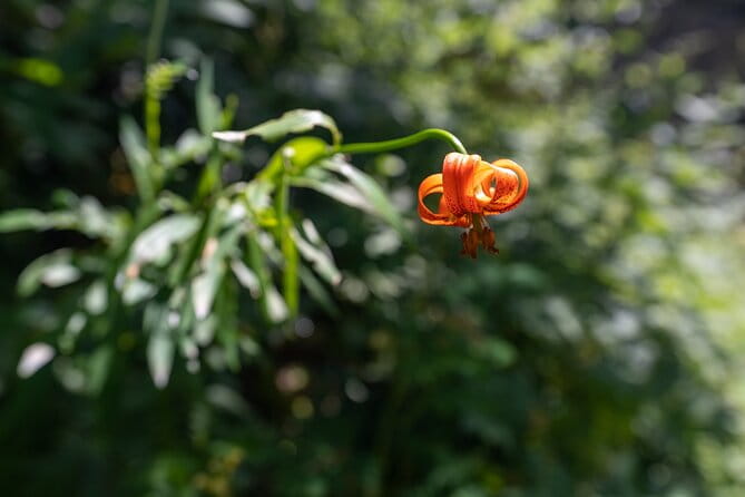 Panoramic hike in Julian Alps - Key Points / Takeaways