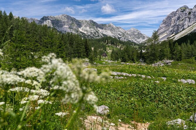 Panoramic hike in Julian Alps - Price, Value, and What You Get