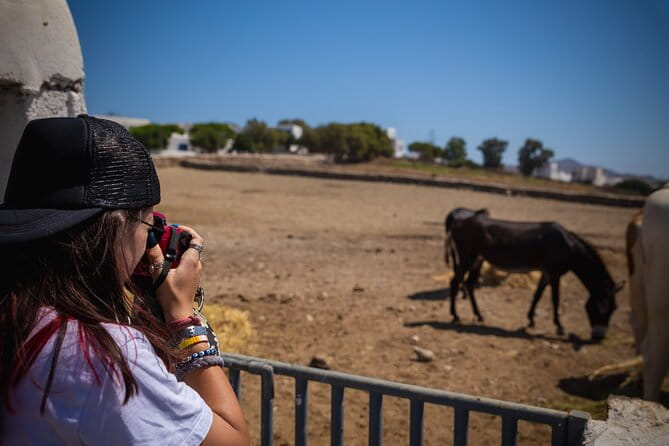 Panoramic Island Tour - FAQ