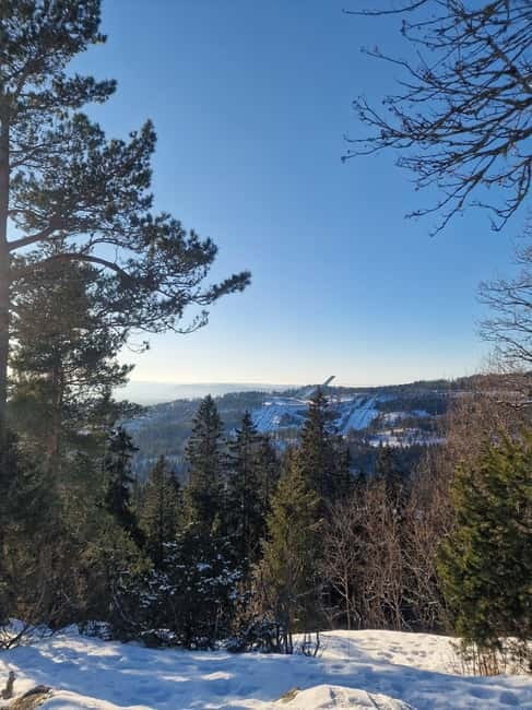 Panoramic Peaks  Oslos Best Fjord Views Hike - Exploring Oslo from Above: A Deep Dive into the Panoramic Peaks Fjord Hike