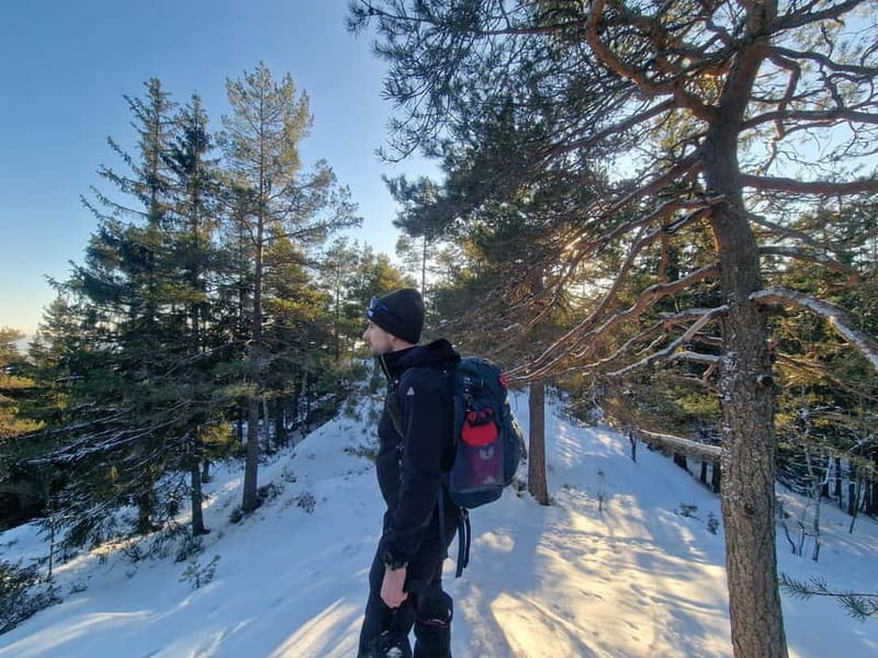 Panoramic Peaks  Oslos Best Fjord Views Hike - Key Points and Takeaways