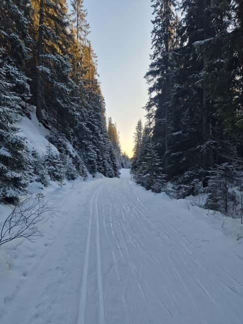 Panoramic Peaks  Oslos Best Fjord Views Hike - The Scenic Journey to Vettakollen