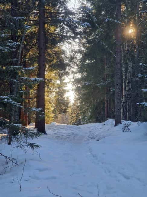 Panoramic Peaks  Oslos Best Fjord Views Hike - The Viewpoint Break: A Perfect Photo-Stop