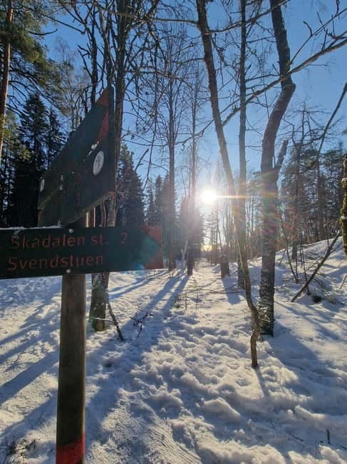 Panoramic Peaks  Oslos Best Fjord Views Hike - Descent and Return: Back to the City
