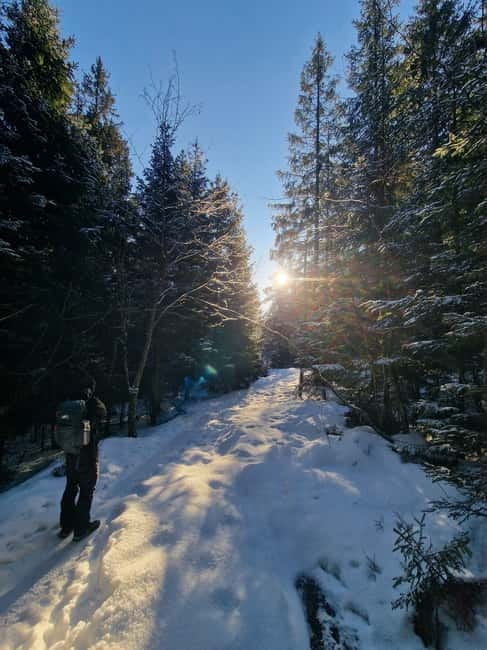 Panoramic Peaks  Oslos Best Fjord Views Hike - Who Will Love This Hike?