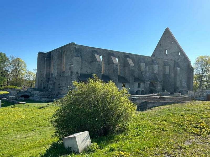 Panoramic Tour over Tallinn by vehicle - The Modern Art Scene at KUMU Museum
