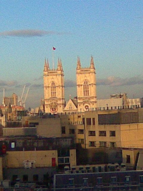 Panoramic Views of London by Black Cab - Iconic Black Cab Exploration