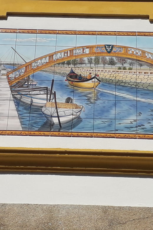 Panoramic Walk in Moliceiro 45 m + Walk in Aveiro 1 hour - Key points / Takeaways