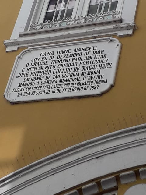 Panoramic Walk in Moliceiro 45 m + Walk in Aveiro 1 hour - Practical Details and Logistics