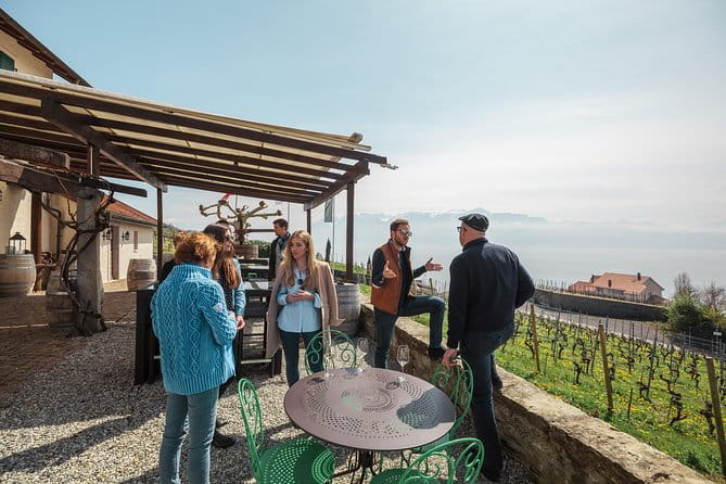 Panoramic Wine Tour From Lausanne - The Tour Itself: A Step-by-Step Breakdown