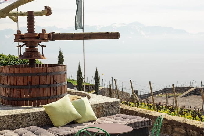 Panoramic Wine Tour From Lausanne - Is It Worth the Price?