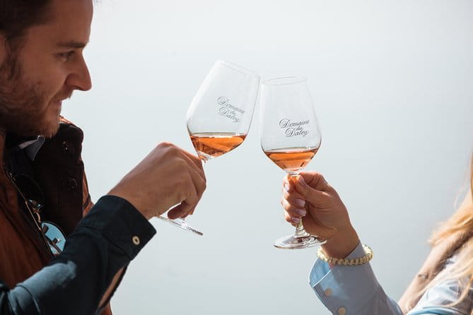 Panoramic Wine Tour From Lausanne - Who Would Love This Tour?