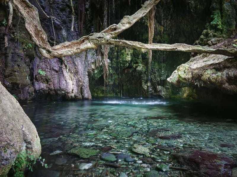 Paphos: Akamas, Baths of Aphrodite and Blue Lagoon Day Tour - Discovering Mythic Myth: Baths of Aphrodite