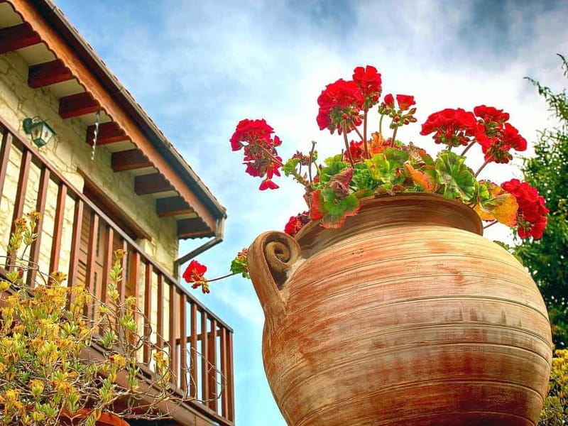 Paphos: Authentic Gourmet Tour with Wine and Food Tasting - The Sweetest Stop: Ourania Delights in Foini