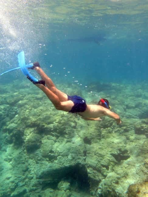 Paphos: Blue Lagoon Cruise-BBQ Lunch, Open Bar, Slide - Who Will Love This Tour?