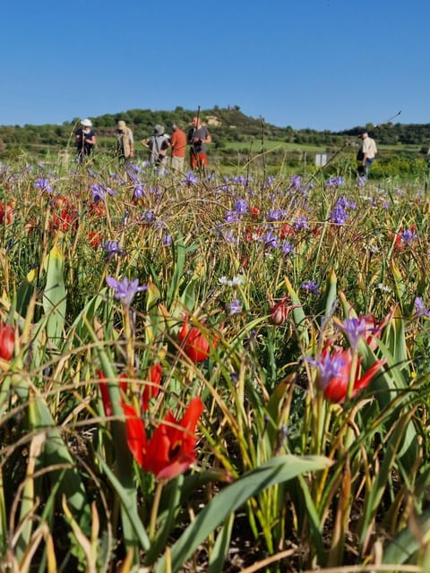 Paphos Cyprus Troodos Jeep safari in English in French too - Key Points / Takeaways